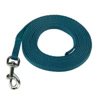 Trainingsleine FüR Welpen 2M, Coachi, Nylon, Stubenreinheit, Mini Leine