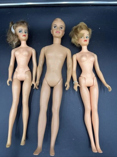 Vintage Lot of 3 Ideal Toy Corp Tammy and Her Family Dolls Misty Ted