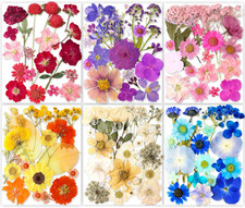 221PCS Real Nature Dried Pressed Flowers for Resin Craft, Dry Pressing Floral wi