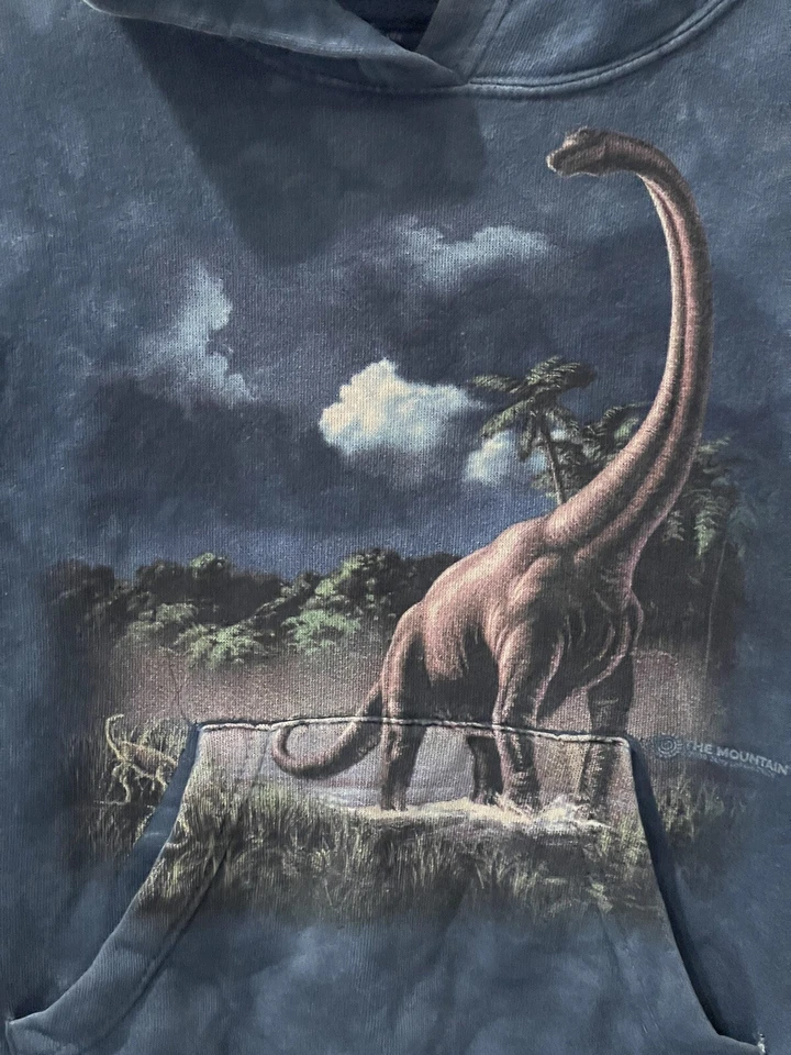 Sudadera con capucha de dinosaurio vintage The Mountain “Brontosaurus” juvenil contenedor pequeño 1 Foto 2 de 4