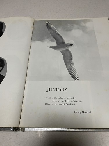 Midway High School 1978 Yearbook Denton Bendena Troy Kansas Doniphan County - Picture 6 of 6