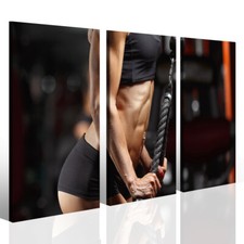 Quadro Palestra Allenamento - Stampa su Tela per Reception - Arte Sportiva