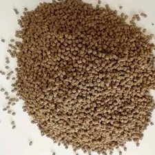 Golden Sinking Pellet Cichlid, Eel Bottom Feeders 3mm 5mm Fresh Salt