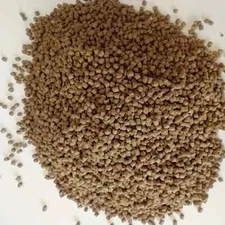 Golden Pellets - Sinking pellets in 3mm and 5mm sizes. Great staple food!