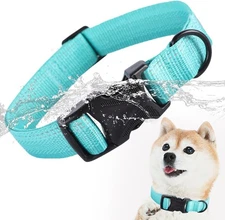 Waterproof Dog Collar,Gradient Reflective Teal Collar (XS, Neck 8-12in)