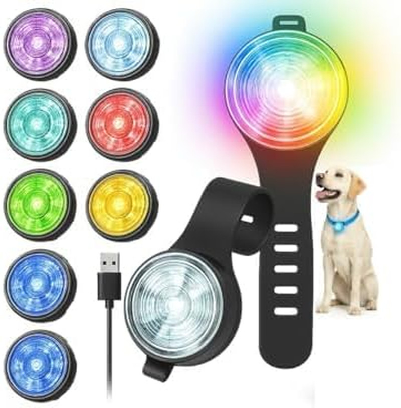 Baliza LED per Cani Impermeabile IP65 | Luce di Sicurezza Alta Visibilità - 4
