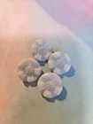 Vintage Buttons 4 Glass White Milk Glass Gold Luster Flowers Daisy 1/2" MAR