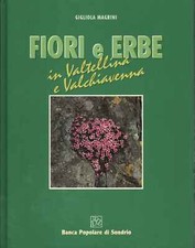Fiori e erbe - Gigliola Magrini (Banca Popolare di Sondrio) [1996]
