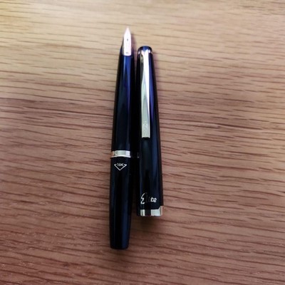 Pilot Fountain Pen Elite 18K nib script Japan JDM