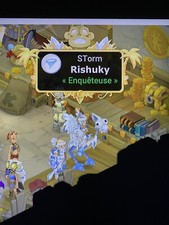 Compte Dofus – Iop Niveau 199 SALAR – PC – MMORPG