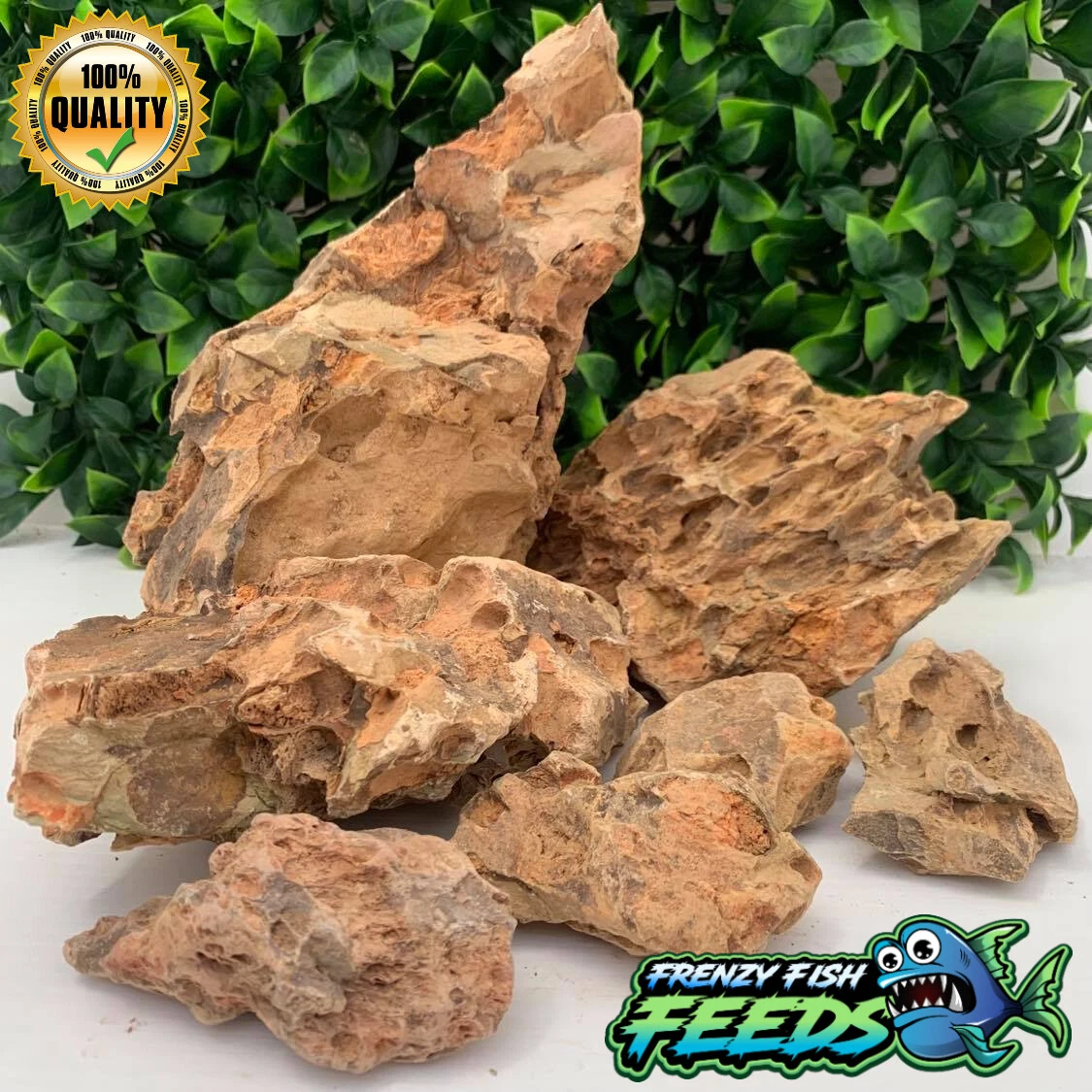 DRAGON STONE PIECES Natural Holey Rocks Terrarium Supplies, 51 OFF