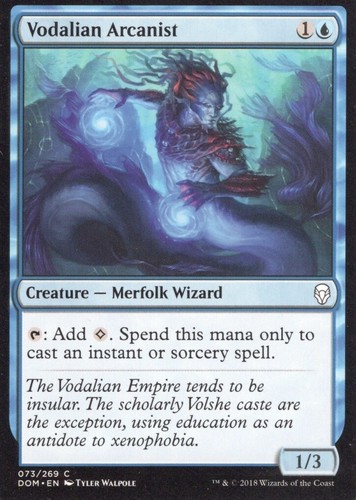 3X VODALIAN ARCANIST 073/269 DOMINARIA MTG MAGIC LP X3 - 第 1/1 張圖片
