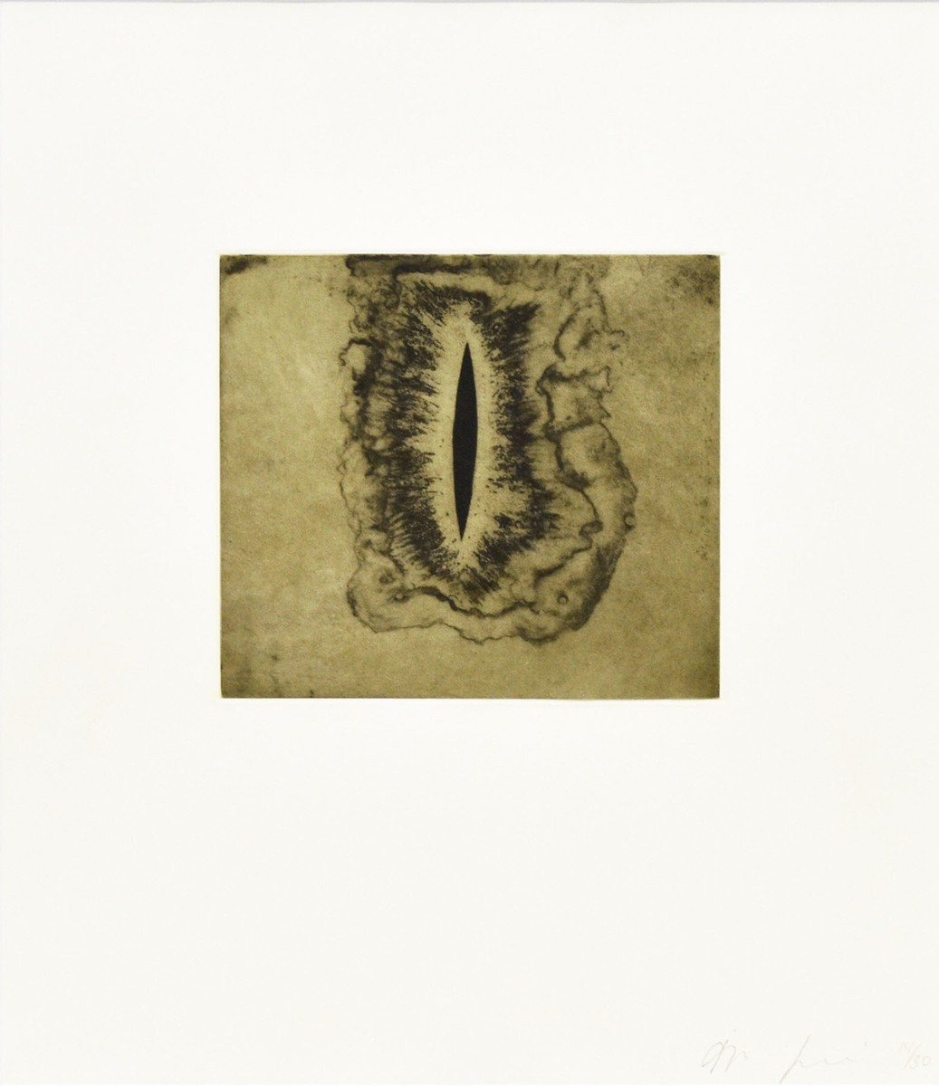 Anish Kapoor Original Etching Pencil Signed Numbered Framed ED30