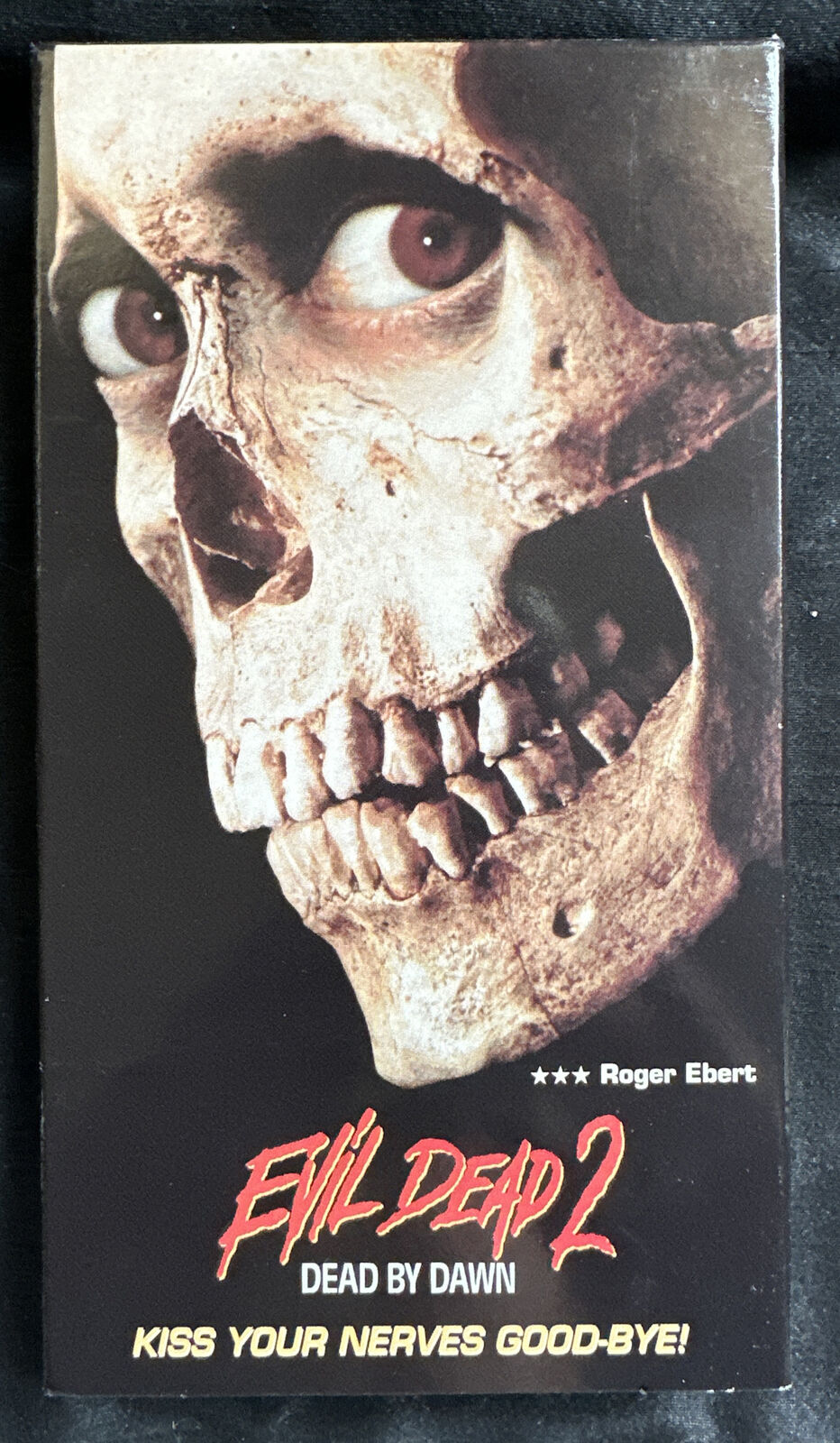 Evil Dead 2: Dead By Dawn