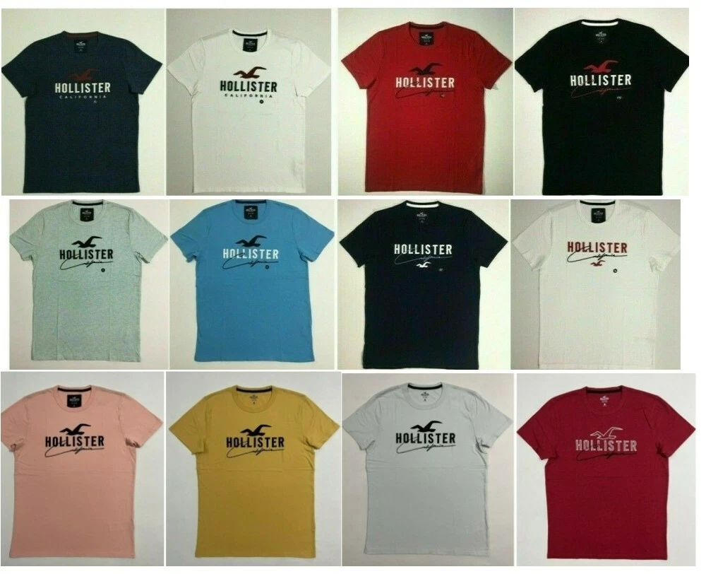 Hollister Men's Applique Graphic T-Shirt Crew Neck Logo Tee Size