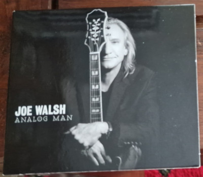 JOE WALSH - ANALOG MAN