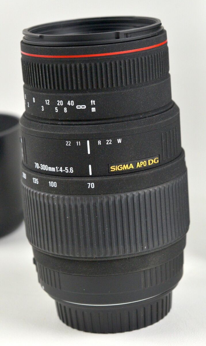 Sigma 70-300mm f/4-5.6 APO DG MACRO Lens Canon mount | eBay Sigma 70-300mm f/4-5.6 APO DG MACRO Lens Canon mount | eBay