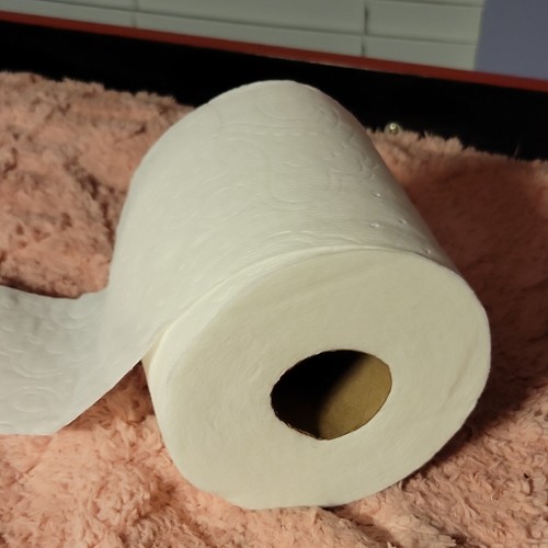 White Bath Tissue Toilet Paper Roll, 1 Count