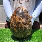 9.9LB Natural wood fossil Quartz Crystal egg Mineral specimen Healing — photo 3