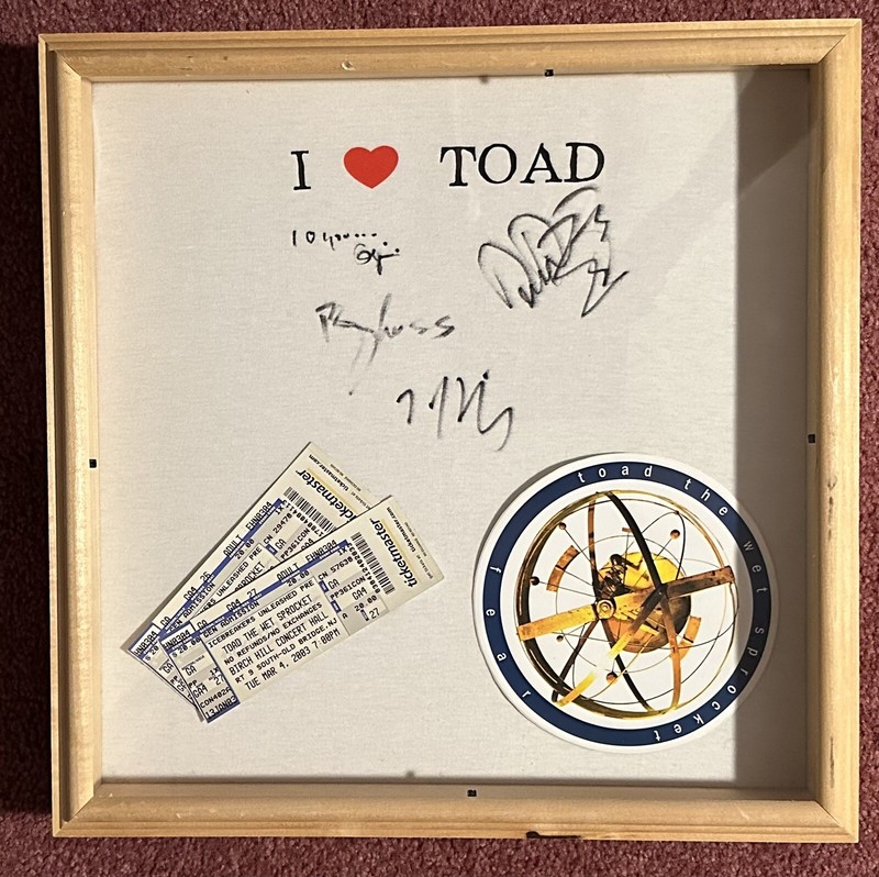 Toad The Wet Sprocket Band Signed Concert T 2003 In Shadowbox 15x2.5”