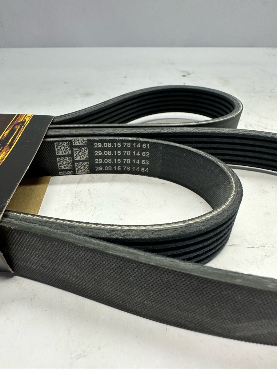 OEM 2009-2014 Ford Expedition Navigator 5.4L Serpentine Belt 9L3Z