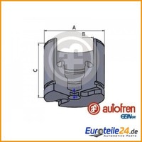 Kolben, Bremssattel Autofren Seinsa D025256 FüR CitroëN