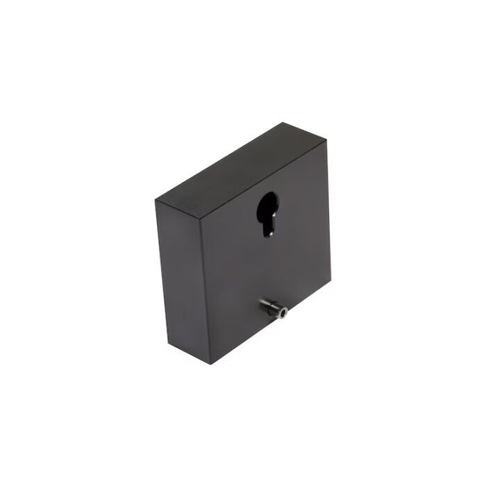 Leister Additional Weight-107.067 2.9kg