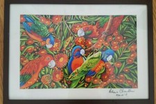 parrot bird painting drawing with wall hanging frame artist signed