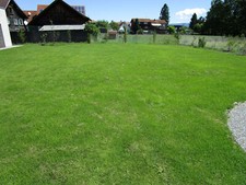 easygreen® trawnik suchy 24m2