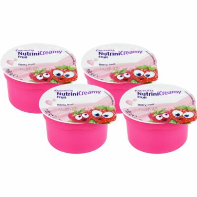 NUTRINI Creamy Fruit Beerenfrüchte 400 g PZN10356086