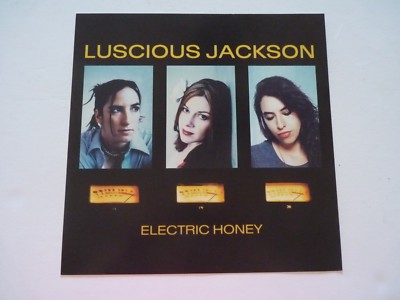 Luscious Jackson Electric Honey LP Record Photo Flat 12x12 Poster