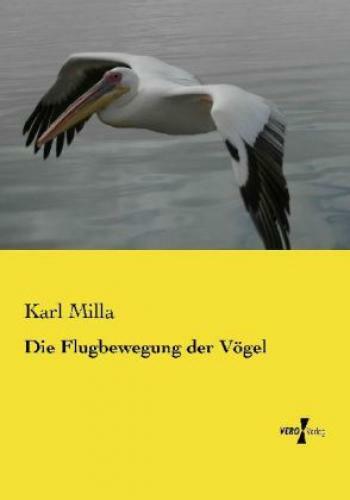 Thumbnail - Die Flugbewegung Der Vögel 2614