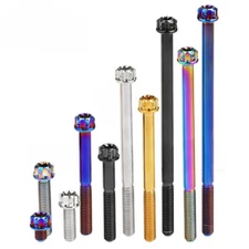 Titanium Bolt M5x6-90mm Flange Torx Head Screw With Logo for Bike Motorcycle Car