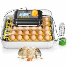 Egg Incubator Automatic Turning for Hatching 30 Eggs Temp Humidity Candling