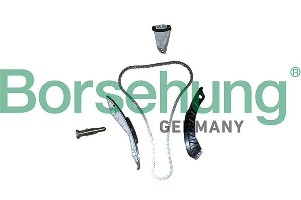 Steuerkettensatz Borsehung B13290 FüR BMW 7Er E65 E66 E67 5Er Touring E61 6Er X5-image