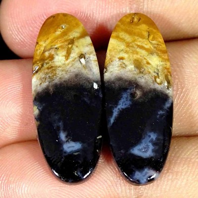 23.00Cts Natürlich Versteinertes Palm Holz Versteinerte Lose Edelstein Oval Paar