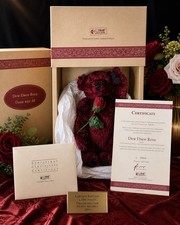 Steiff Dew Drop Rose Bear 1999 Limited Edition Dark Red w/Box COA