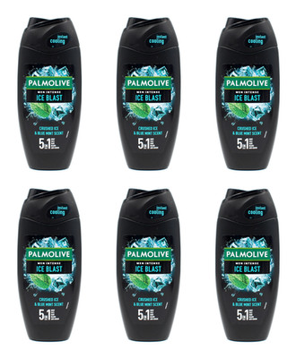 Palmolive Men Intense Ice Blast 5in1 Duschgel , 6x250ml EAN8718951588110