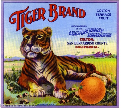 Colton San Bernardino County Tiger Orange Citrus Fruit Crate Label Art Print