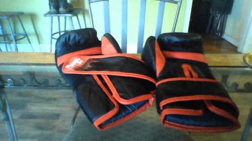 8 OZ. Everlast Medium boxing gloves - Picture 3 of 3