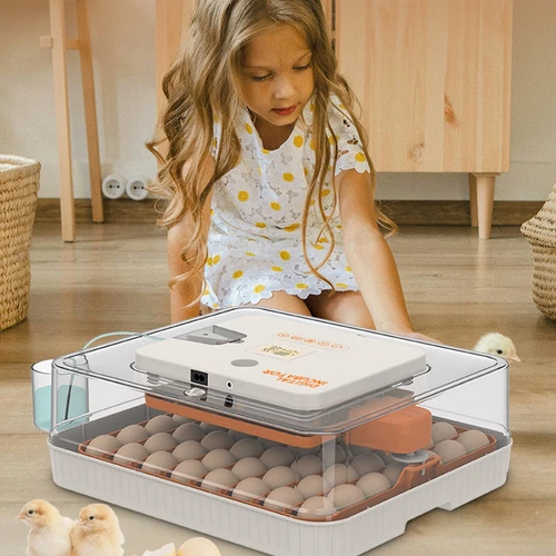 Eggs Incubator Chicken Quail Hatcher Incubators Automatic/Manual Hatching Eggs - Picture 77 of 78