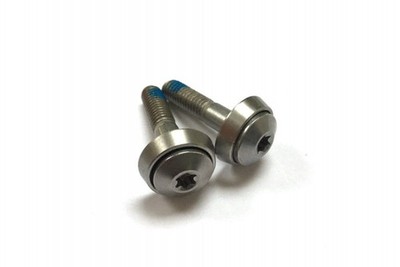 by.Schulz G2 Sattelklemmenschrauben M6 Gewinde Torx T25 2 Stück & Washer