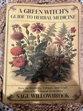 A Green Witch's Guide to Herbal Medicine by Sage Willowbrook (free Ship)