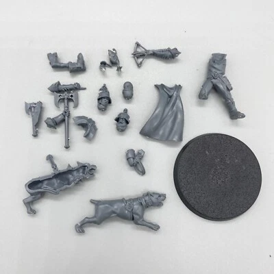 GW Warhammer - Cities of Sigmar Warcry Wildercorps singles (6D6)
