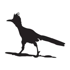 Roadrunner - Vinyl Decal Sticker - Multiple Color & Sizes - ebn574