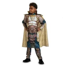 DUNGEONS AND DRAGONS XENK THE PALADIN MUSCLE HALLOWEEN COSTUME BOYS S 6/7 