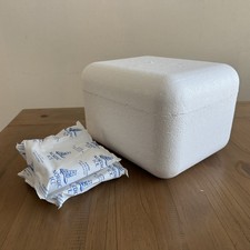 Styrofoam Cooler Insulated Foam Shipping Box with 2 Nordic Ice Gel Packs 8x6x4
