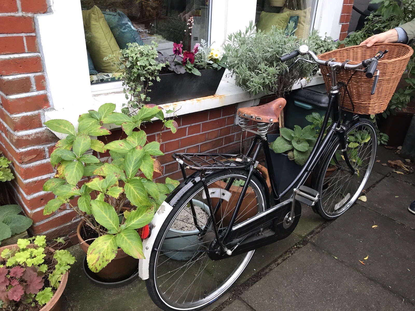 pashley princess classic