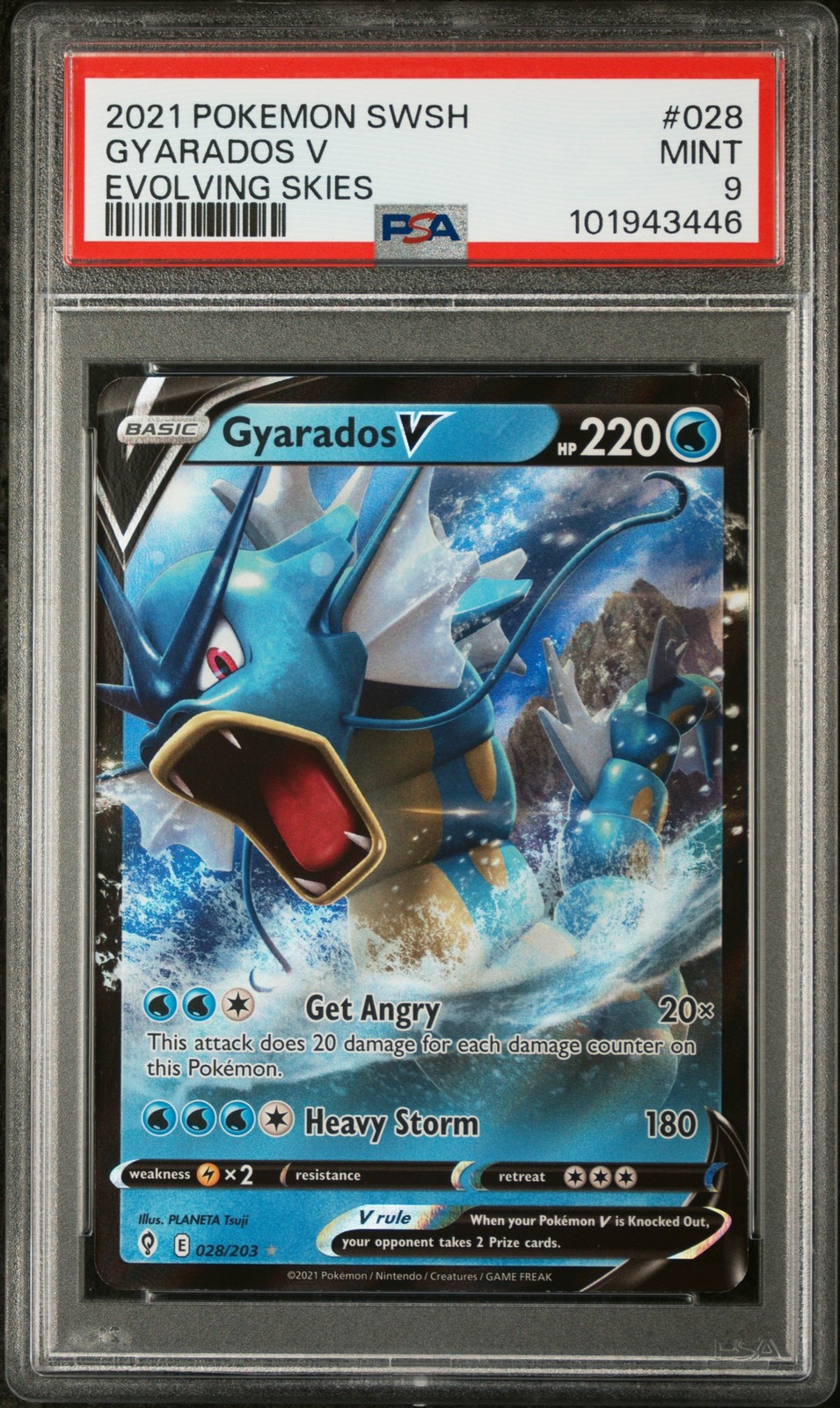 Gyarados V #28