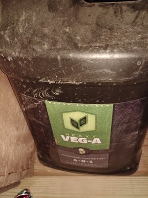 Heavy 16 Veg A Base Nutrient 2.5 Gallon / 10L Jug Plant Nutrient Hydroponics